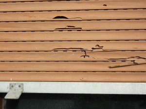 Can your insurance company cancel your policy after a hail damage claim?